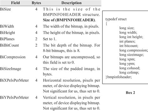 Bitmap File Structure 的图像结果