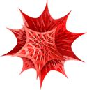 Image result for Mathematica 14 Logo