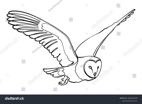 How To Draw A Owl Flying Easy
