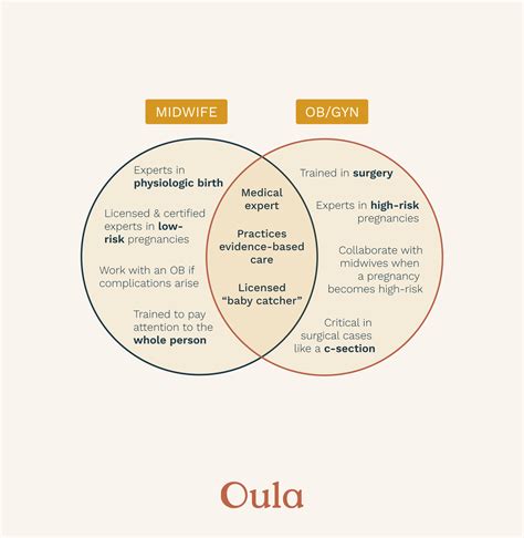 Midwife vs. OBGYN: What’s The Difference? | Oula
