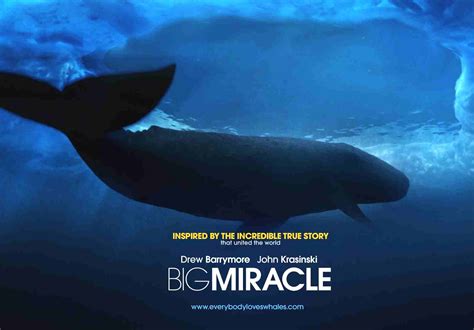 Big Miracle Actors at Irene Troyer blog