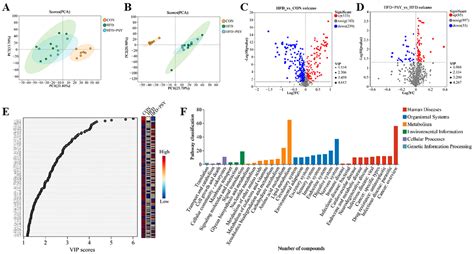 Citrus p-Synephrine Improves Energy Homeostasis by Regulating Amino ...