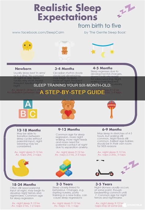 Sleep Training Your Six-Month-Old: A Step-By-Step Guide | ShunChild