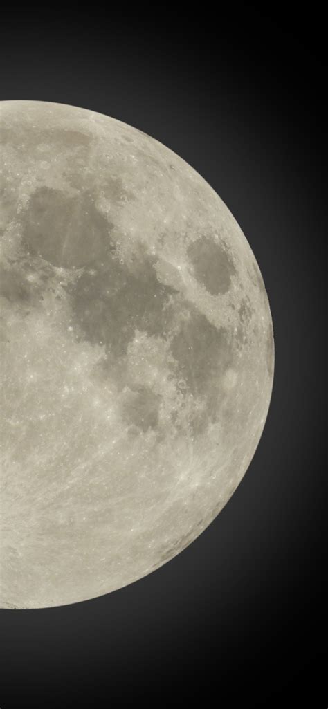 中国官方公布"嫦娥一号"探月卫星传回的月球照片[组图]_资讯_凤凰网