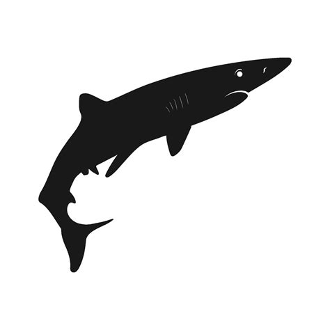Shark Vector 的图像结果