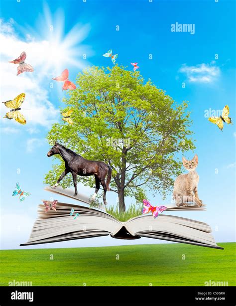 Knowledge Symbol 的图像结果