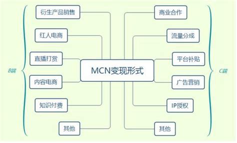 广告、带货还是知识付费？——MCN产业发展的机遇与挑战-中国知识产权杂志—中国知识产权人的首选商业期刊