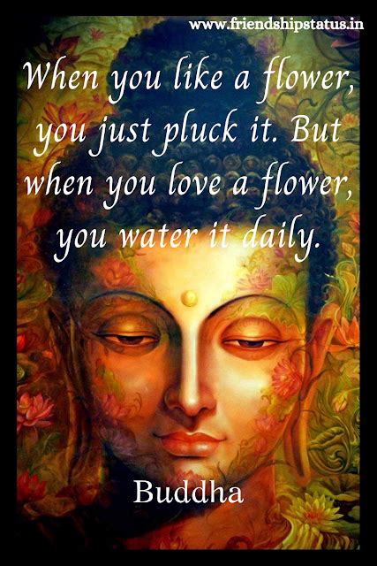 50 Best Buddha Quotes on Love