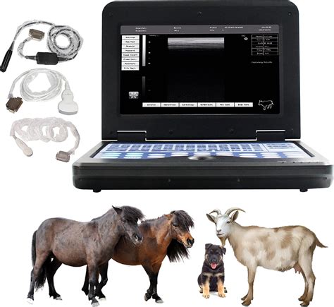 Buy CONTEC CMS600P2 Vet Veterinary use Portable Laptop B-Ultra Sound ...