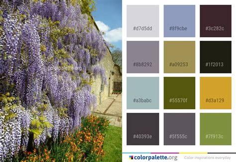 FlowerColor 的图像结果