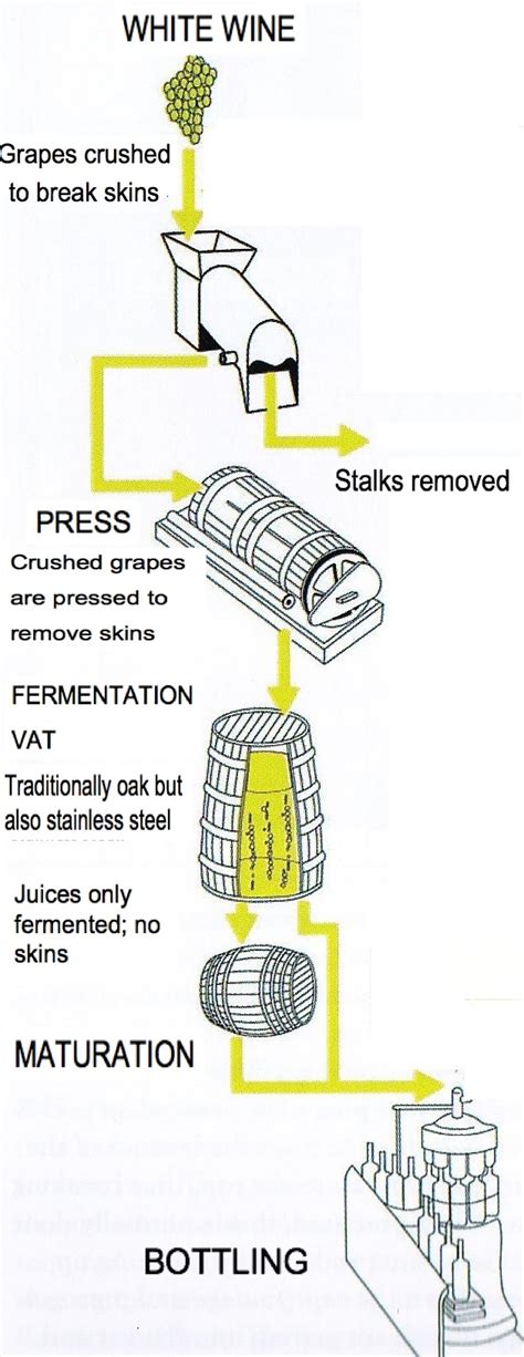 Wine Making Process 的图像结果
