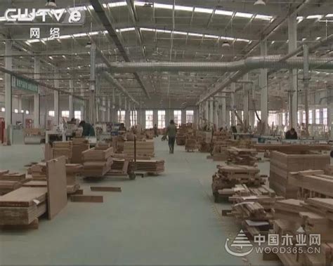 “好品菏泽”调研庄寨板材 助推转型发展-中国木业网