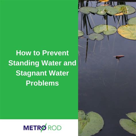 How to Prevent Standing Water and Stagnant Water Issues | Metro Rod