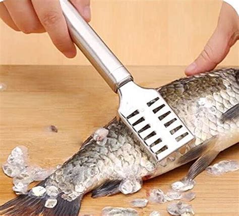 Buy Camberwell Fish Scale Scraper Fish Scaler Sawtooth Scale Descaler ...