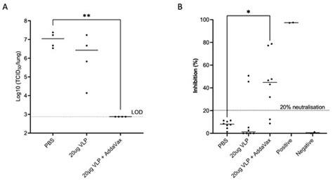 Human Nasal Epithelium Organoids for Assessing Neutralizing Antibodies ...