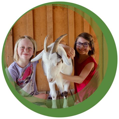 Coverages | Nonprofits Insurance Alliance