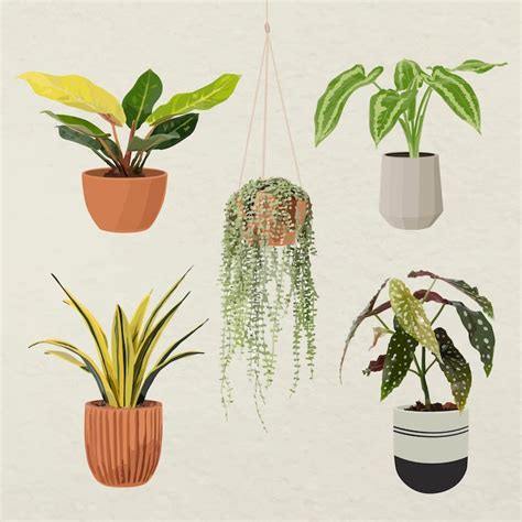 Plant cutout Images - Free Download on Freepik