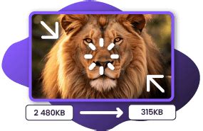 WebP 的图像结果