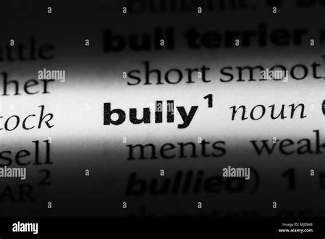 Image result for Bully Code Meaning