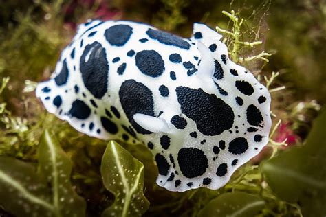 MOCEAN IMAGES (2025) All You Need to Know BEFORE You Go (with Photos ...