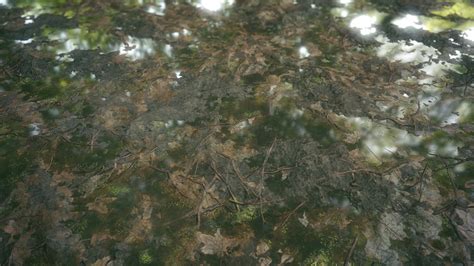 Swamp Ground Texture 的图像结果