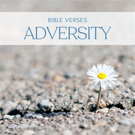 28 Uplifting Bible Verses About Adversity (With Commentary)