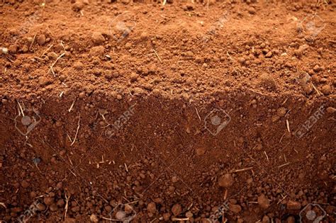 Pmw - High Nutritional Value - Red Soil - Red Clay - 2 Kilo - Loose ...