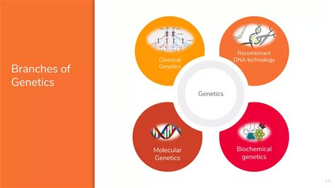 Genetics Introduction 的图像结果
