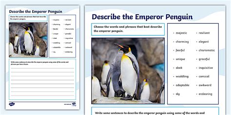 Describe an Emperor Penguin Worksheet