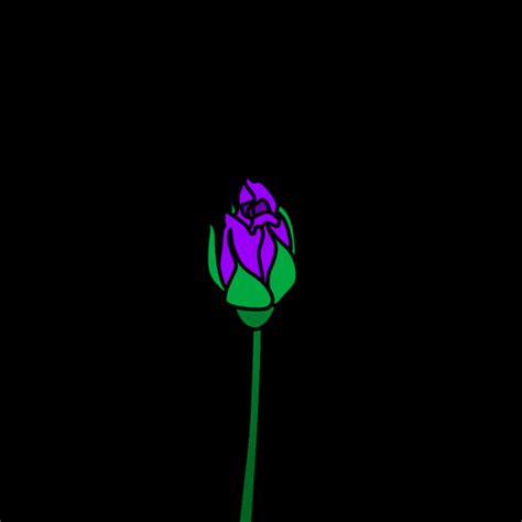 Blooming Neon Purple Rose Flowers Animation GIF | GIFDB.com