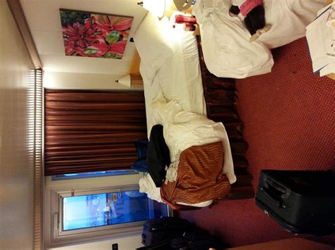 Image result for Color Line Magic Cabins