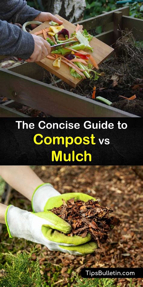 Compost Bagging System 的图像结果