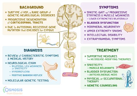 Hereditary Spastic Paraplegia 56: What It Is, Causes, Signs and ...