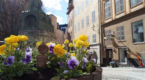 HOTELL SKEPPSBRON (Stockholm) - Lodge Reviews, Photos, Rate Comparison ...