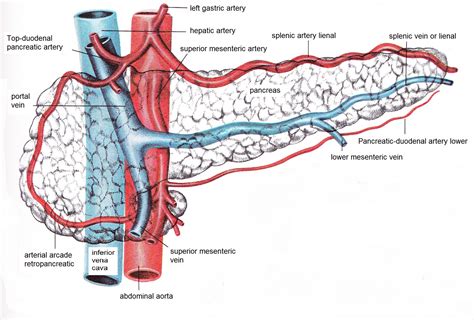 bbchealthnews.com - bbchealthnews Resources and Information.