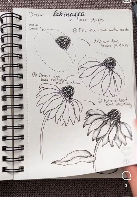 Learn to Draw Flowers - Art Education Resources