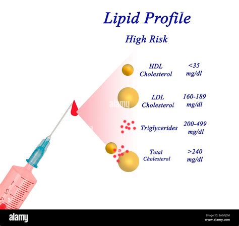 Four components of Lipid profile Stock Photo - Alamy