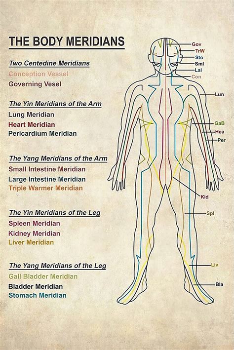 Meridian System Chart