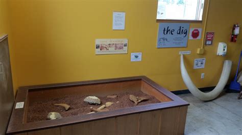 The magic of the lentil pit at the Palouse Science and Discovery Center ...