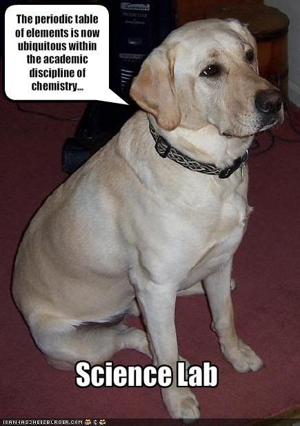 Science Lab Humor 的图像结果