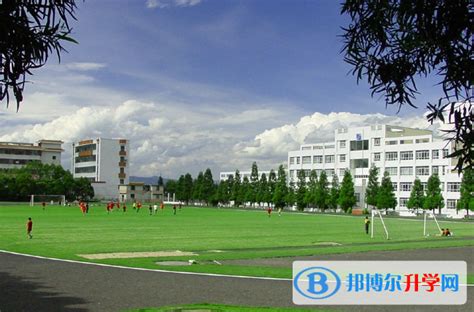 芜湖中考体育考试项目及评分标准新规定2023- 芜湖本地宝