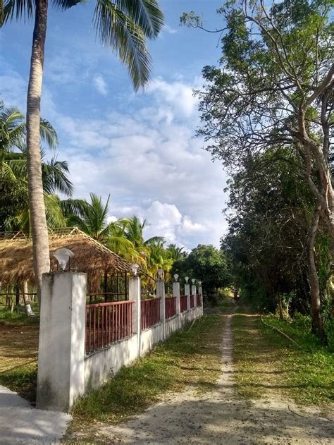 ROYAL NEIL RESORT (Ram Nagar) - Hotel Reviews, Photos, Rate Comparison ...