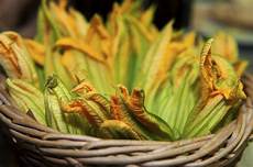 foto fiori di zucca i fiori di zucca come pulirli e cucinarli foto fiori di zucca i fiori di zucca come pulirli e cucinarli