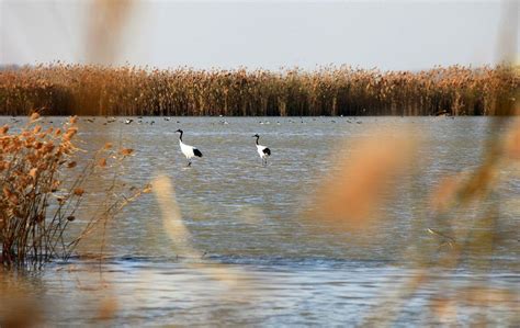 沧州旅游景点推荐海边(【印象•沧州】84万游客今夏光临沧州渤海新区十里金沙滩) - 【爱喜匠】