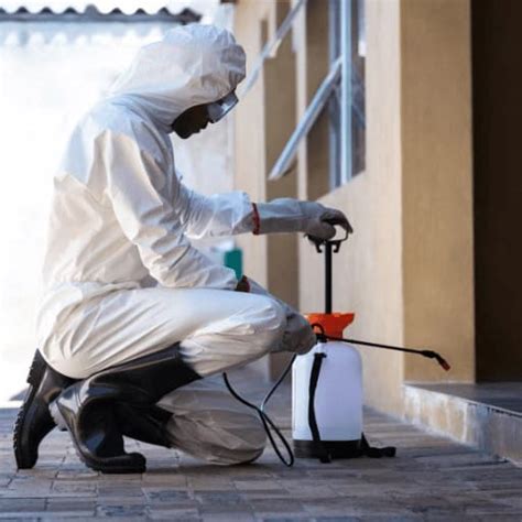 NULCEAR PEST CONTROL GOA | Goa Best Pest Control & Sanitization Experts