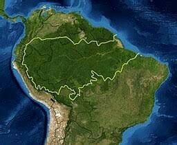 largest forest in the world - Brainly.in