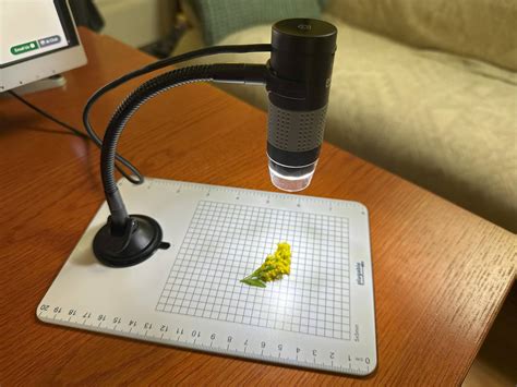 Image result for Use of Plugable Digital Microscope in Windows