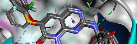 Ligand and Pharmacophore based Design | Dassault Systèmes