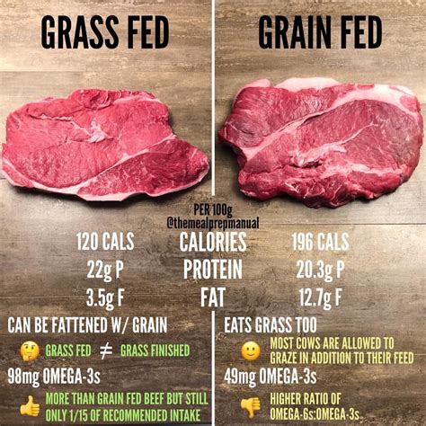 Grass Fed vs. Grain Fed Beef: A Comparison