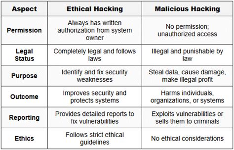 Types of Hackers and Ethical Hacking Basics - Cyber Security and ...